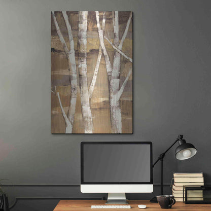 Luxe Metal Art 'Wandering Through the Birches I' by Albena Hristova, Metal Wall Art,24x36