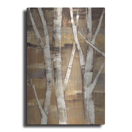 Luxe Metal Art 'Wandering Through the Birches I' by Albena Hristova, Metal Wall Art