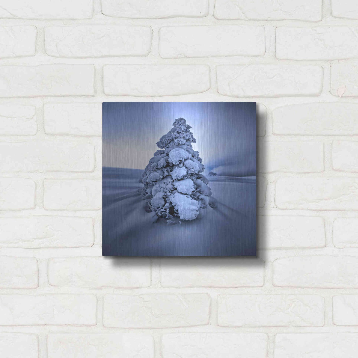 Luxe Metal Art 'And the Wind Blows' by Philippe Sainte-Laudy, Metal Wall Art,12x12