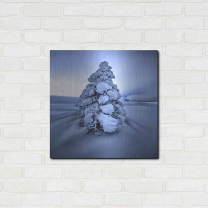 Luxe Metal Art 'And the Wind Blows' by Philippe Sainte-Laudy, Metal Wall Art,24x24