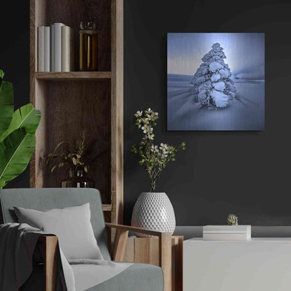 Luxe Metal Art 'And the Wind Blows' by Philippe Sainte-Laudy, Metal Wall Art,24x24