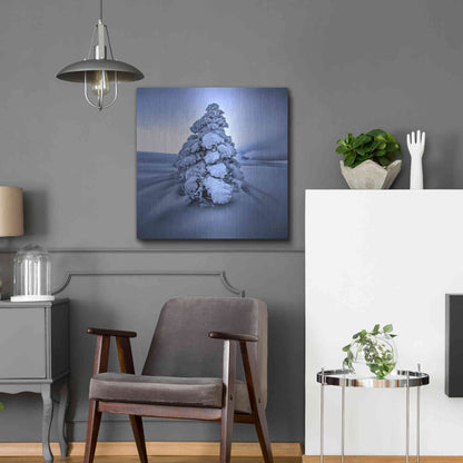 Luxe Metal Art 'And the Wind Blows' by Philippe Sainte-Laudy, Metal Wall Art,24x24