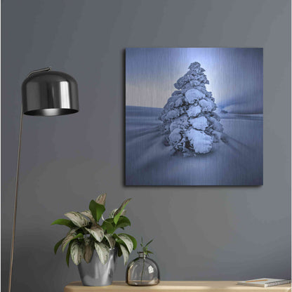 Luxe Metal Art 'And the Wind Blows' by Philippe Sainte-Laudy, Metal Wall Art,24x24