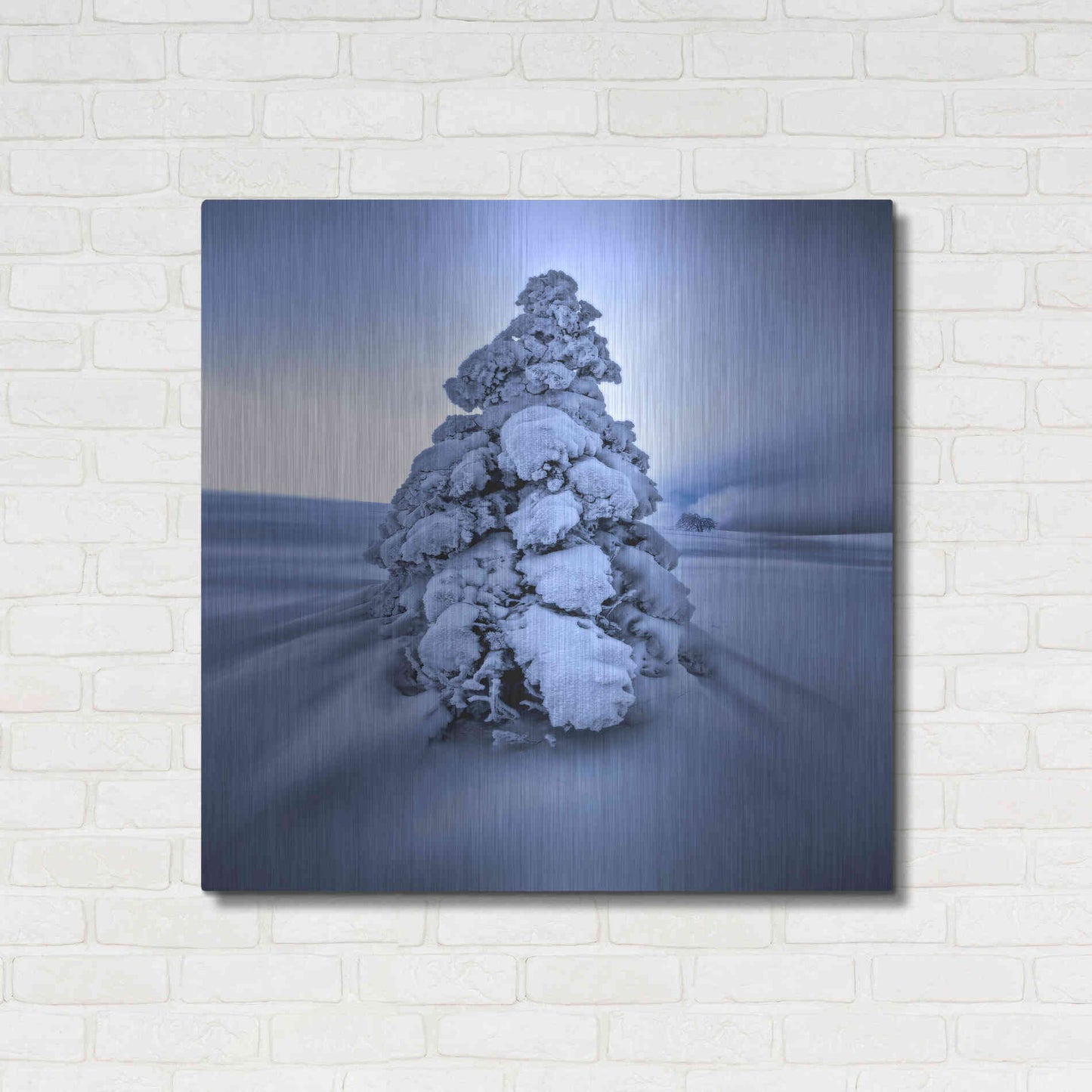 Luxe Metal Art 'And the Wind Blows' by Philippe Sainte-Laudy, Metal Wall Art,36x36