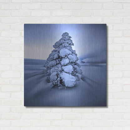 Luxe Metal Art 'And the Wind Blows' by Philippe Sainte-Laudy, Metal Wall Art,36x36