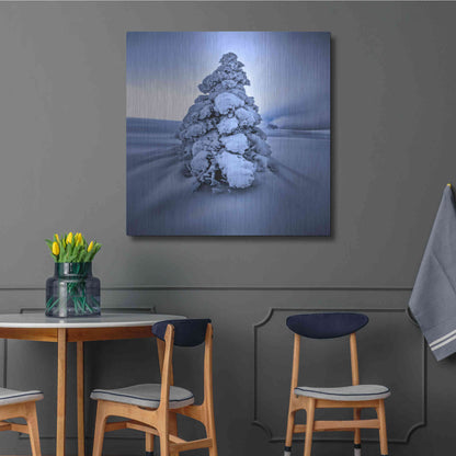 Luxe Metal Art 'And the Wind Blows' by Philippe Sainte-Laudy, Metal Wall Art,36x36