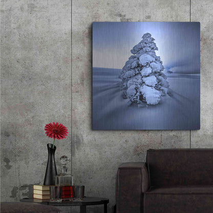 Luxe Metal Art 'And the Wind Blows' by Philippe Sainte-Laudy, Metal Wall Art,36x36