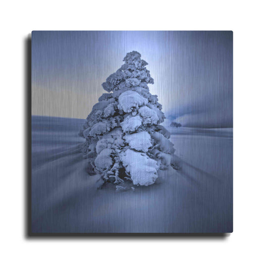 Luxe Metal Art 'And the Wind Blows' by Philippe Sainte-Laudy, Metal Wall Art