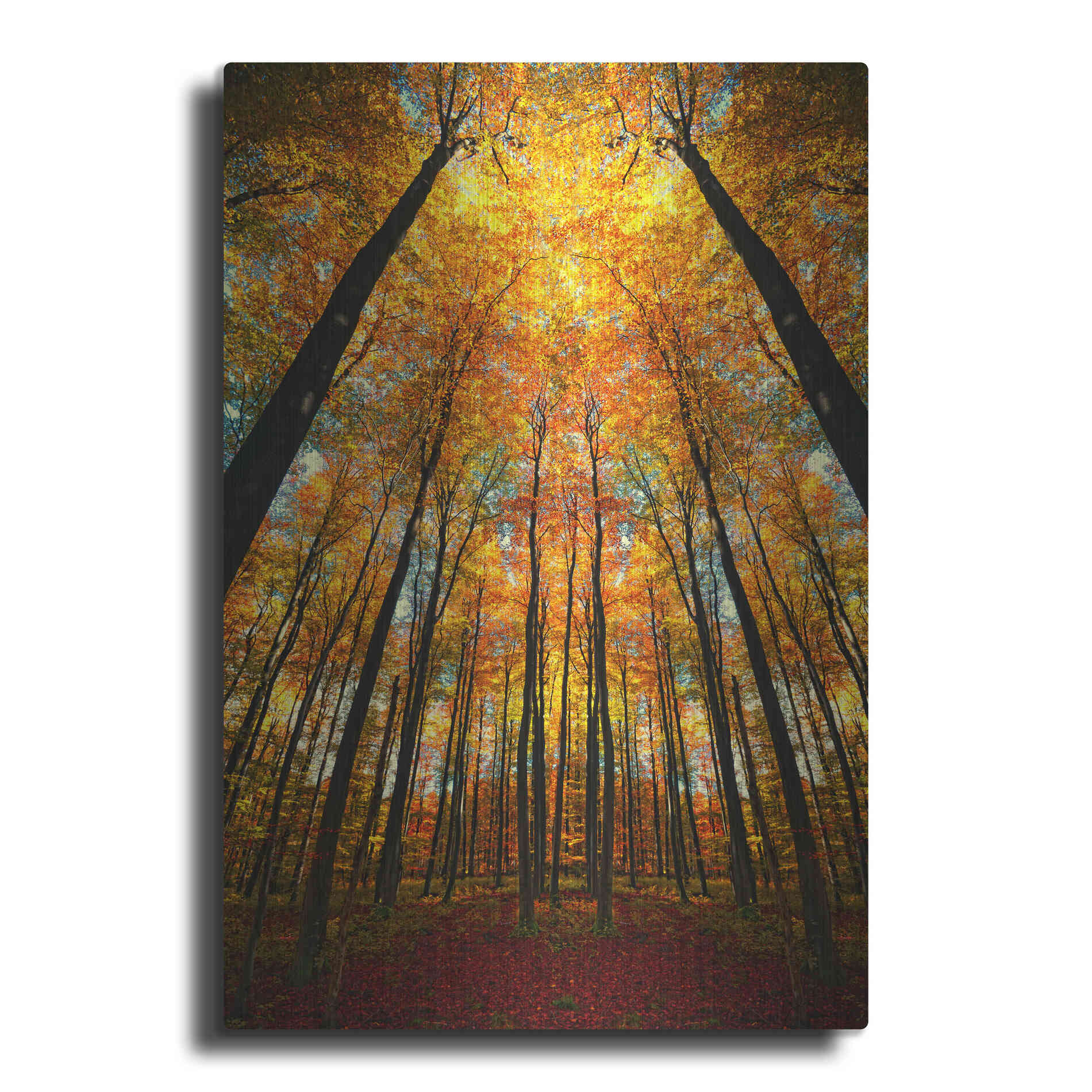 Luxe Metal Art 'Beginning of Autumn' by Philippe Sainte-Laudy, Metal Wall Art