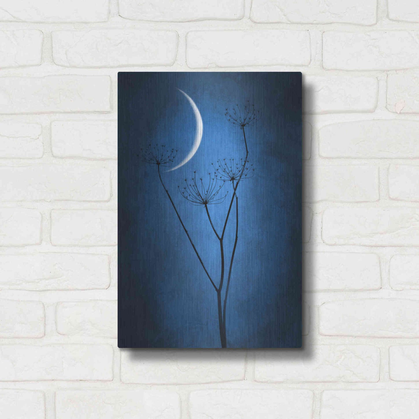 Luxe Metal Art 'Blue Crescent Moon' by Philippe Sainte-Laudy, Metal Wall Art,12x16