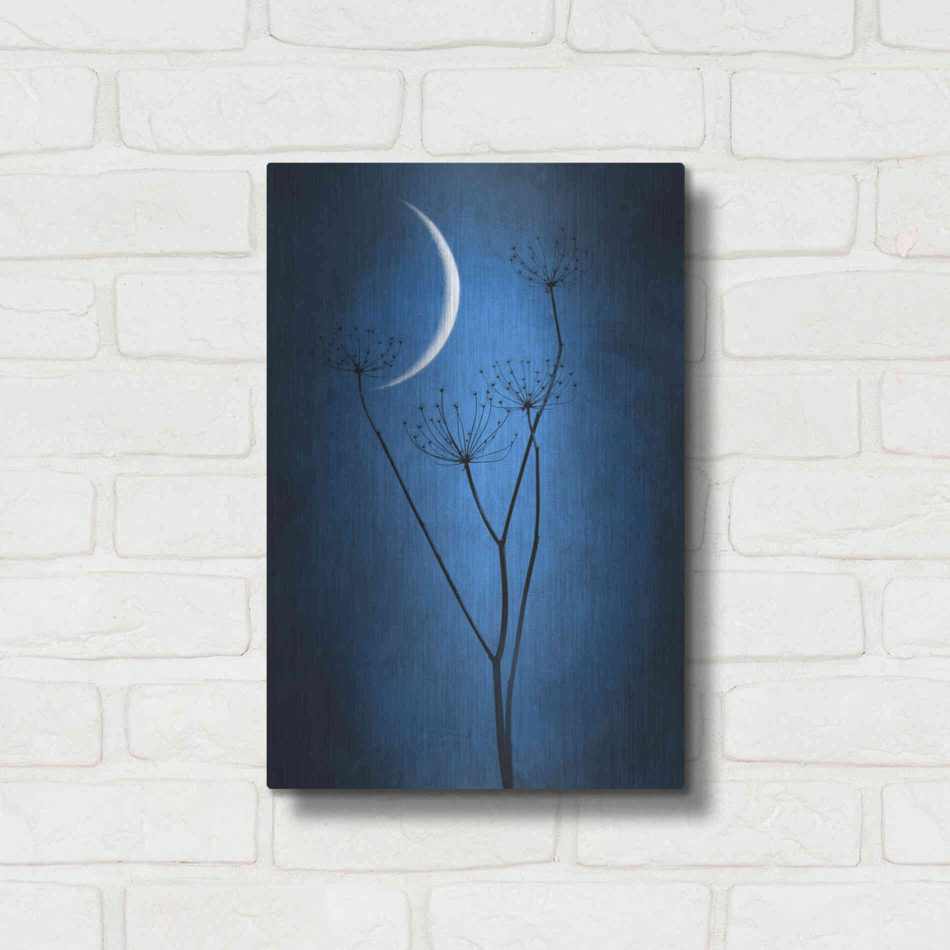 Luxe Metal Art 'Blue Crescent Moon' by Philippe Sainte-Laudy, Metal Wall Art,12x16