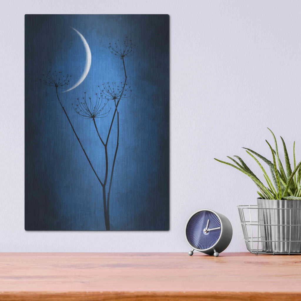 Luxe Metal Art 'Blue Crescent Moon' by Philippe Sainte-Laudy, Metal Wall Art,12x16