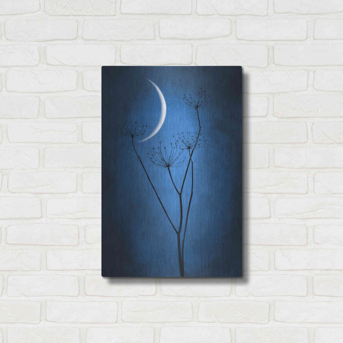 Luxe Metal Art 'Blue Crescent Moon' by Philippe Sainte-Laudy, Metal Wall Art,16x24