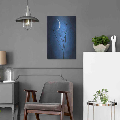 Luxe Metal Art 'Blue Crescent Moon' by Philippe Sainte-Laudy, Metal Wall Art,16x24