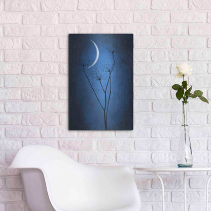 Luxe Metal Art 'Blue Crescent Moon' by Philippe Sainte-Laudy, Metal Wall Art,16x24
