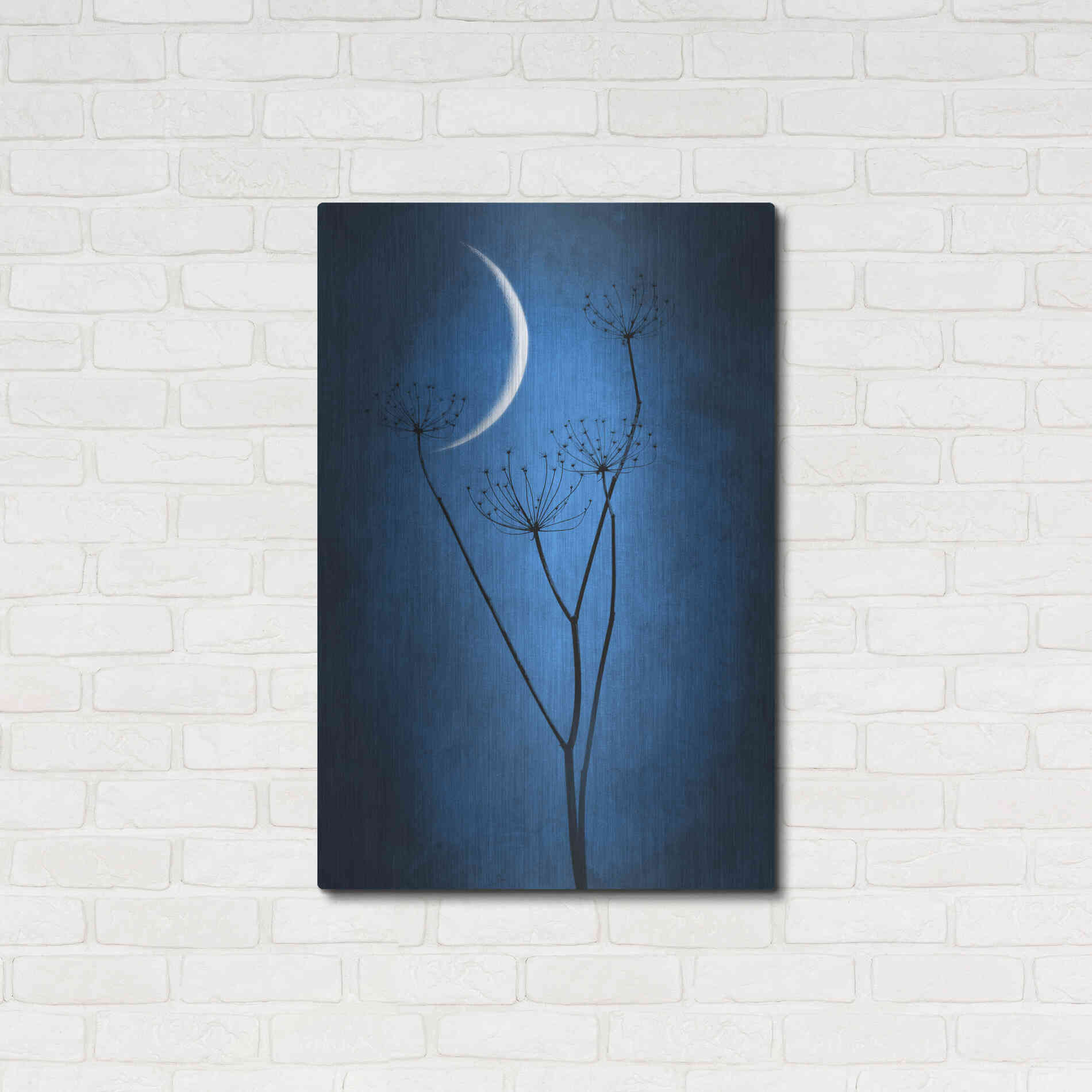 Luxe Metal Art 'Blue Crescent Moon' by Philippe Sainte-Laudy, Metal Wall Art,24x36