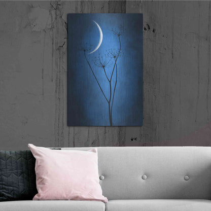 Luxe Metal Art 'Blue Crescent Moon' by Philippe Sainte-Laudy, Metal Wall Art,24x36