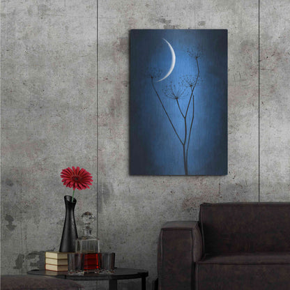 Luxe Metal Art 'Blue Crescent Moon' by Philippe Sainte-Laudy, Metal Wall Art,24x36