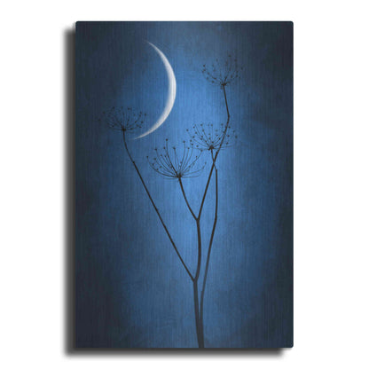 Luxe Metal Art 'Blue Crescent Moon' by Philippe Sainte-Laudy, Metal Wall Art
