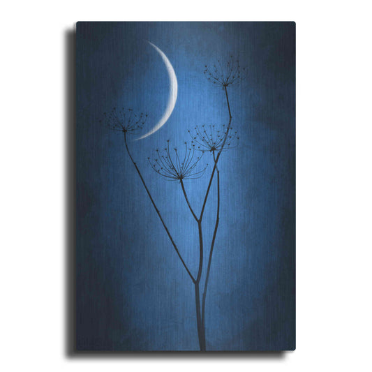 Luxe Metal Art 'Blue Crescent Moon' by Philippe Sainte-Laudy, Metal Wall Art