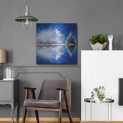 Luxe Metal Art 'Cold Light' by Philippe Sainte-Laudy, Metal Wall Art,24x24