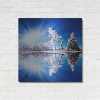 Luxe Metal Art 'Cold Light' by Philippe Sainte-Laudy, Metal Wall Art,36x36