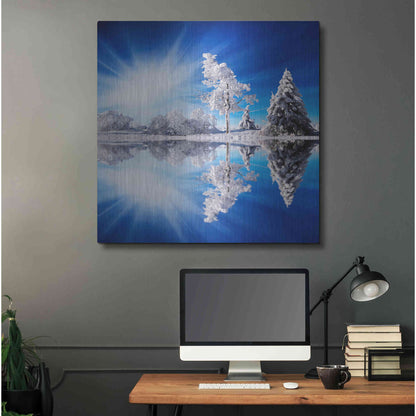 Luxe Metal Art 'Cold Light' by Philippe Sainte-Laudy, Metal Wall Art,36x36