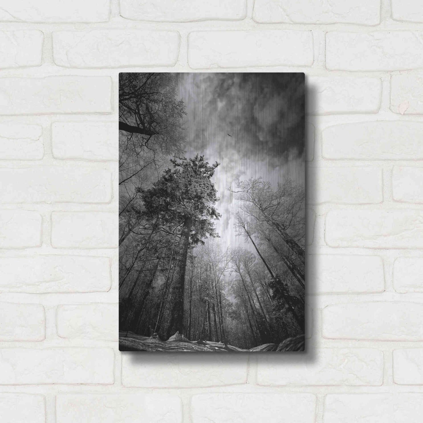 Luxe Metal Art 'Cold Vision' by Philippe Sainte-Laudy, Metal Wall Art,12x16