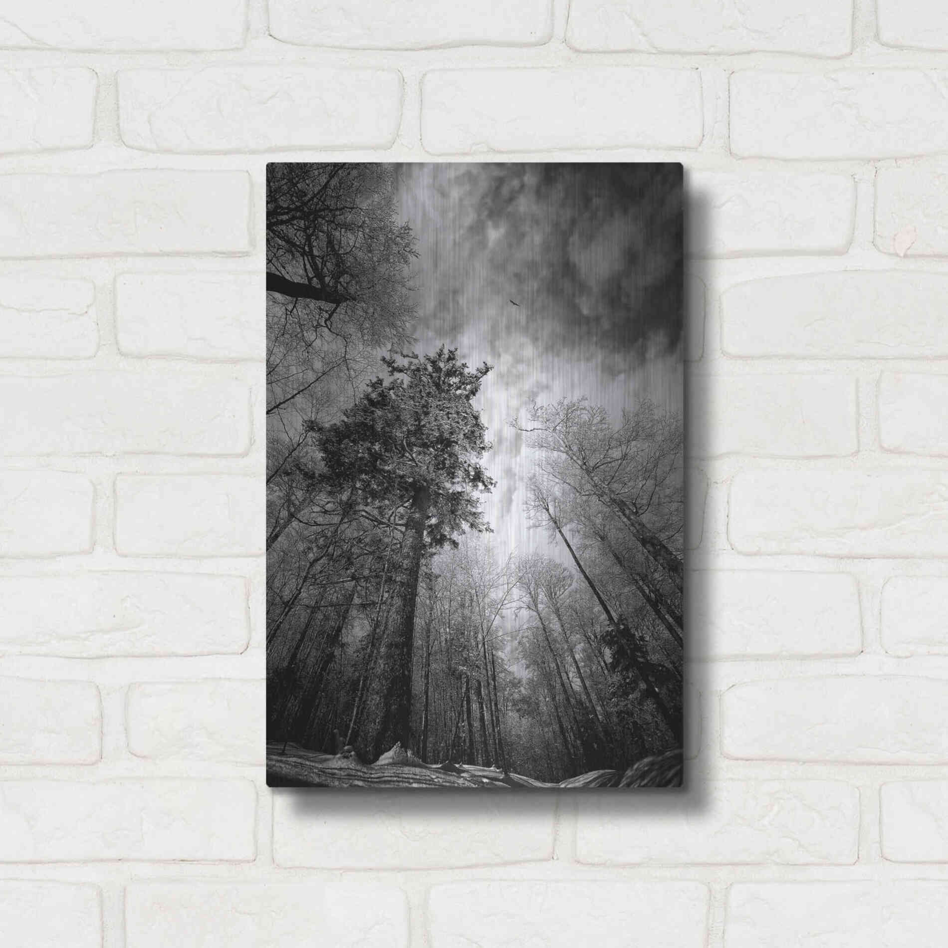 Luxe Metal Art 'Cold Vision' by Philippe Sainte-Laudy, Metal Wall Art,12x16