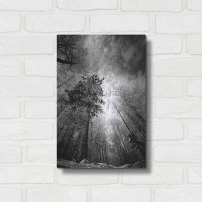 Luxe Metal Art 'Cold Vision' by Philippe Sainte-Laudy, Metal Wall Art,12x16