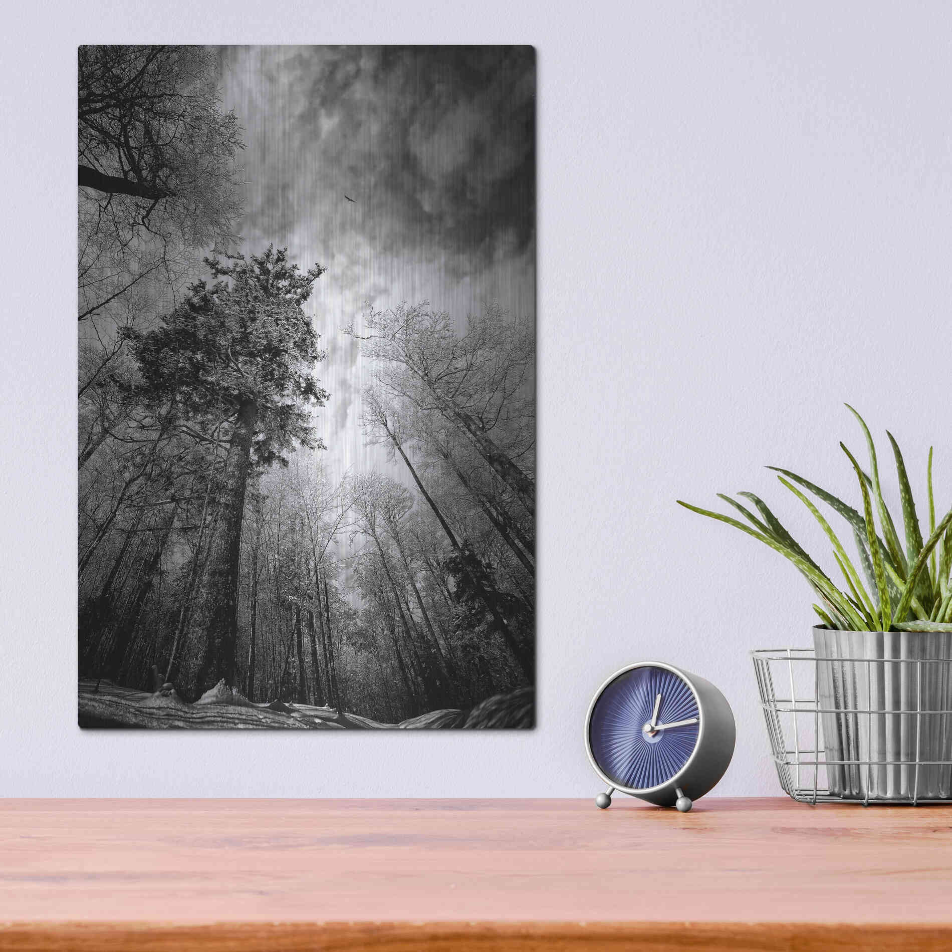 Luxe Metal Art 'Cold Vision' by Philippe Sainte-Laudy, Metal Wall Art,12x16