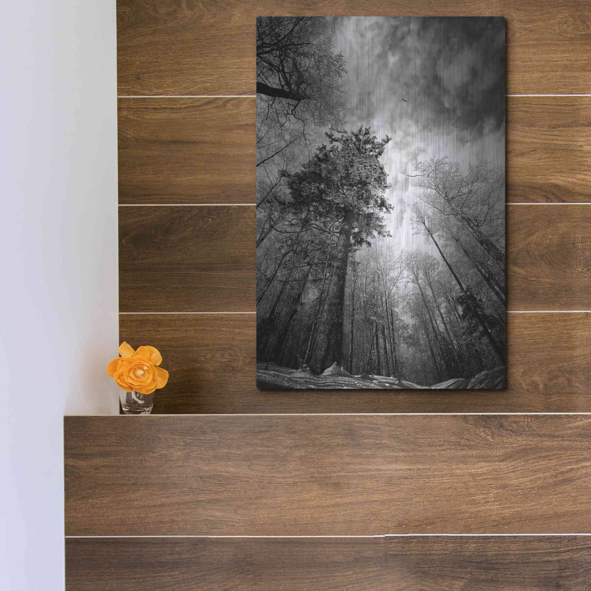 Luxe Metal Art 'Cold Vision' by Philippe Sainte-Laudy, Metal Wall Art,12x16