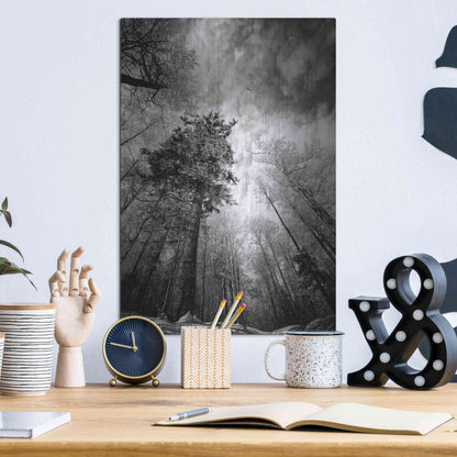 Luxe Metal Art 'Cold Vision' by Philippe Sainte-Laudy, Metal Wall Art,12x16