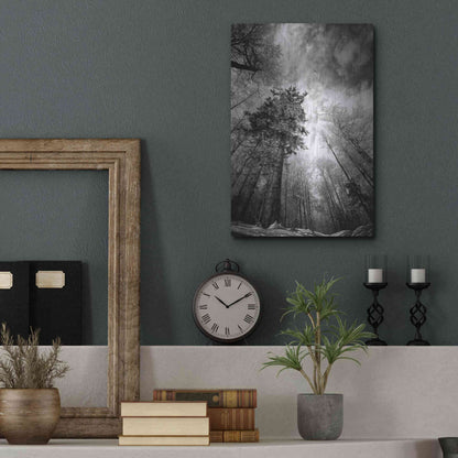 Luxe Metal Art 'Cold Vision' by Philippe Sainte-Laudy, Metal Wall Art,12x16