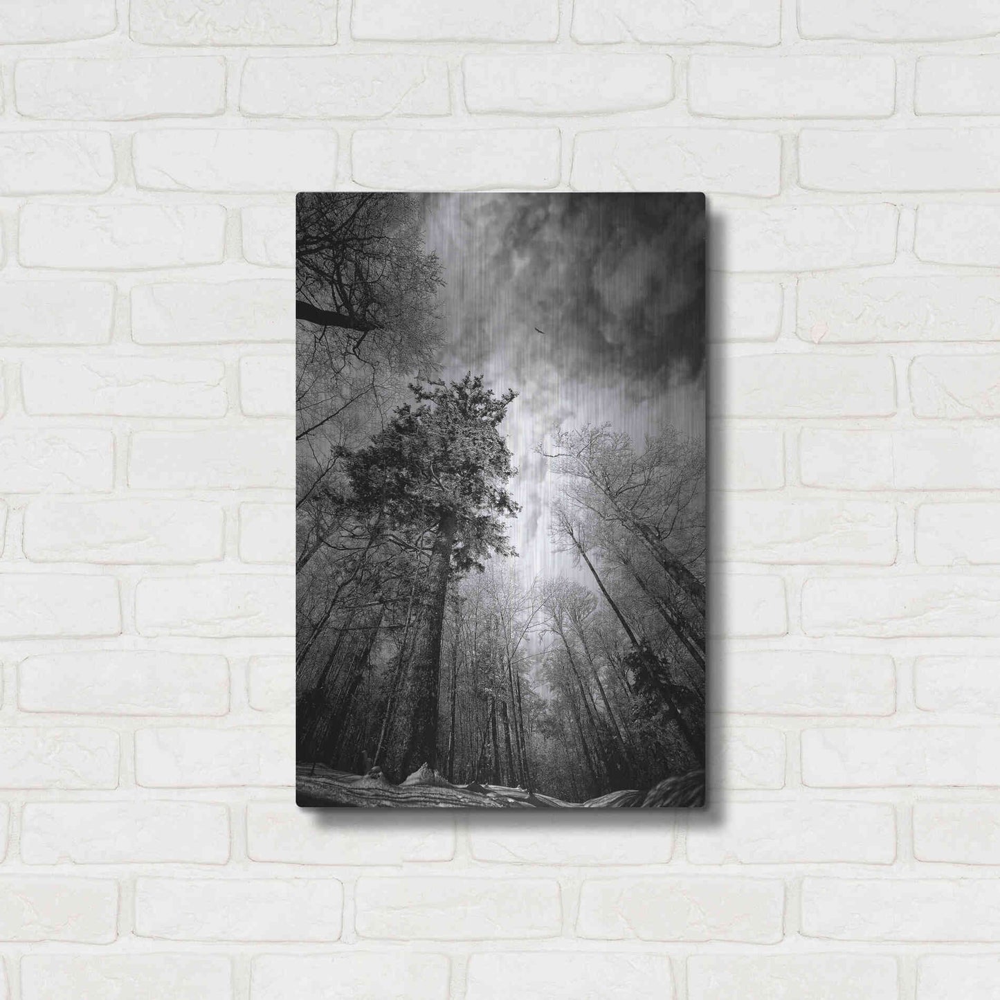 Luxe Metal Art 'Cold Vision' by Philippe Sainte-Laudy, Metal Wall Art,16x24