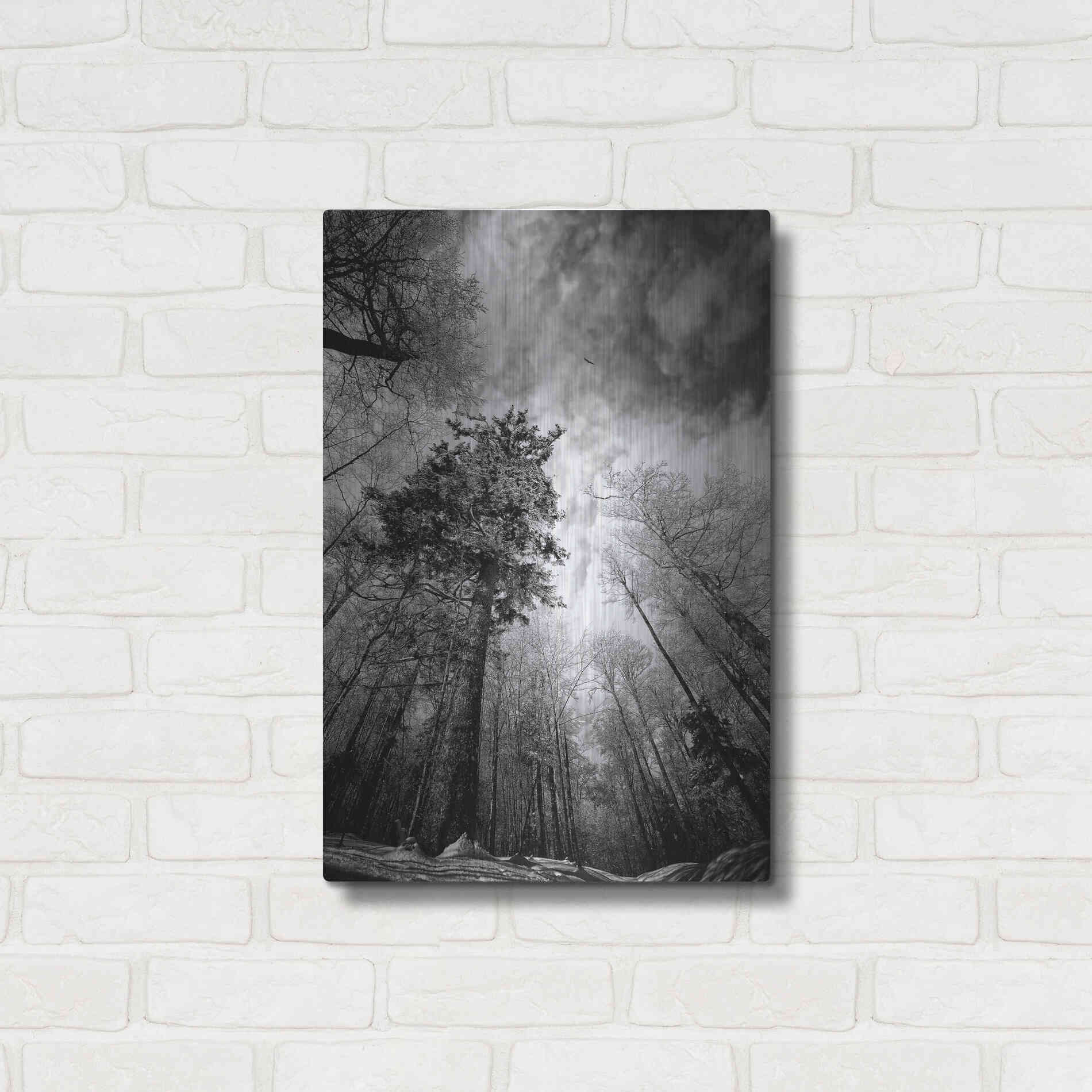 Luxe Metal Art 'Cold Vision' by Philippe Sainte-Laudy, Metal Wall Art,16x24