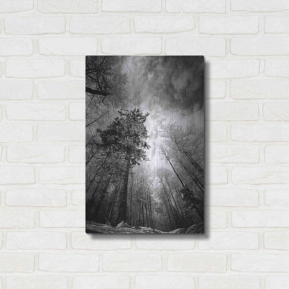 Luxe Metal Art 'Cold Vision' by Philippe Sainte-Laudy, Metal Wall Art,16x24