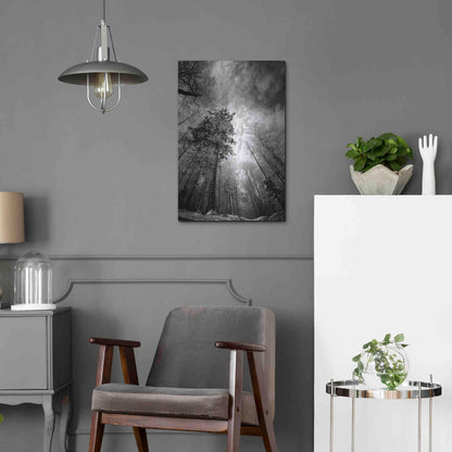 Luxe Metal Art 'Cold Vision' by Philippe Sainte-Laudy, Metal Wall Art,16x24