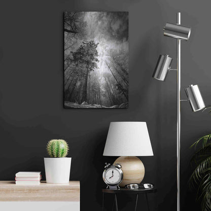 Luxe Metal Art 'Cold Vision' by Philippe Sainte-Laudy, Metal Wall Art,16x24