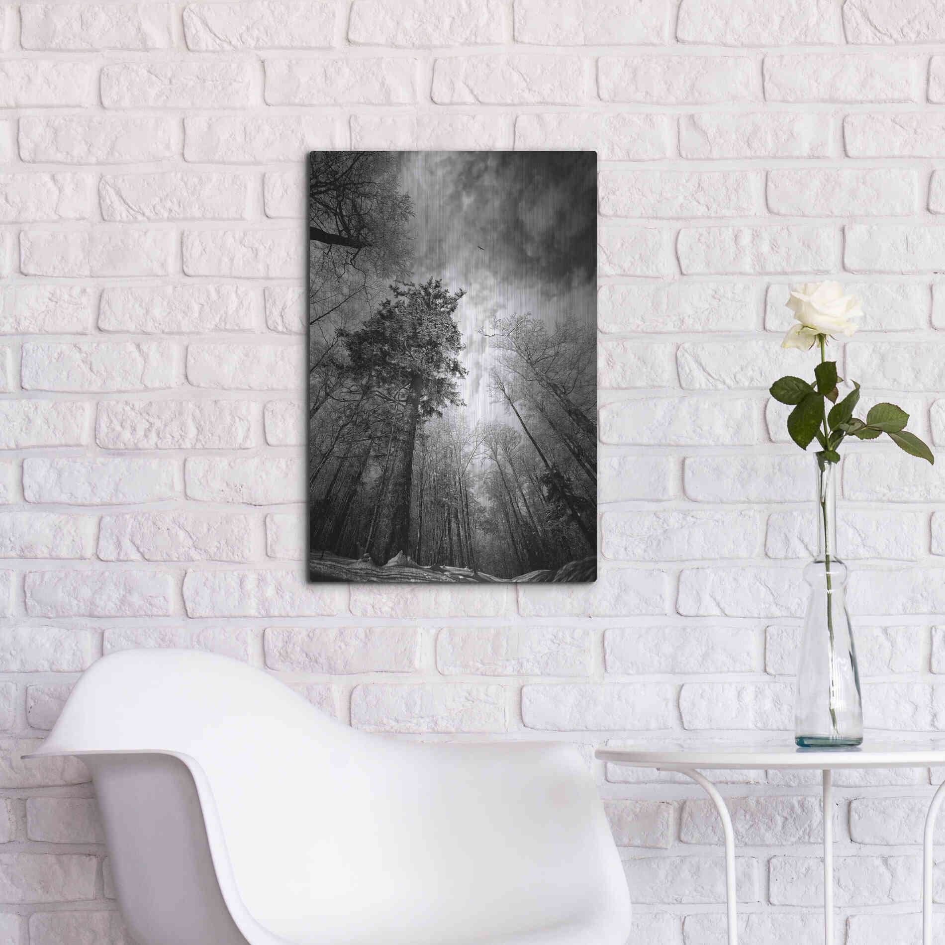 Luxe Metal Art 'Cold Vision' by Philippe Sainte-Laudy, Metal Wall Art,16x24