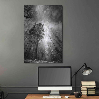 Luxe Metal Art 'Cold Vision' by Philippe Sainte-Laudy, Metal Wall Art,24x36