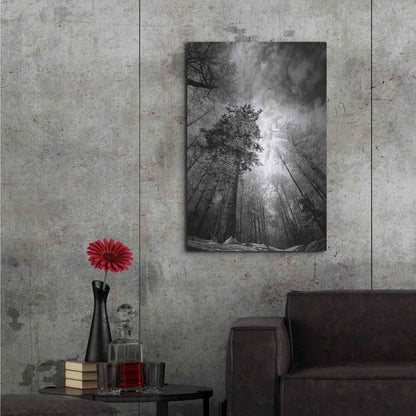 Luxe Metal Art 'Cold Vision' by Philippe Sainte-Laudy, Metal Wall Art,24x36