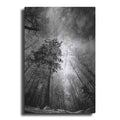 Luxe Metal Art 'Cold Vision' by Philippe Sainte-Laudy, Metal Wall Art