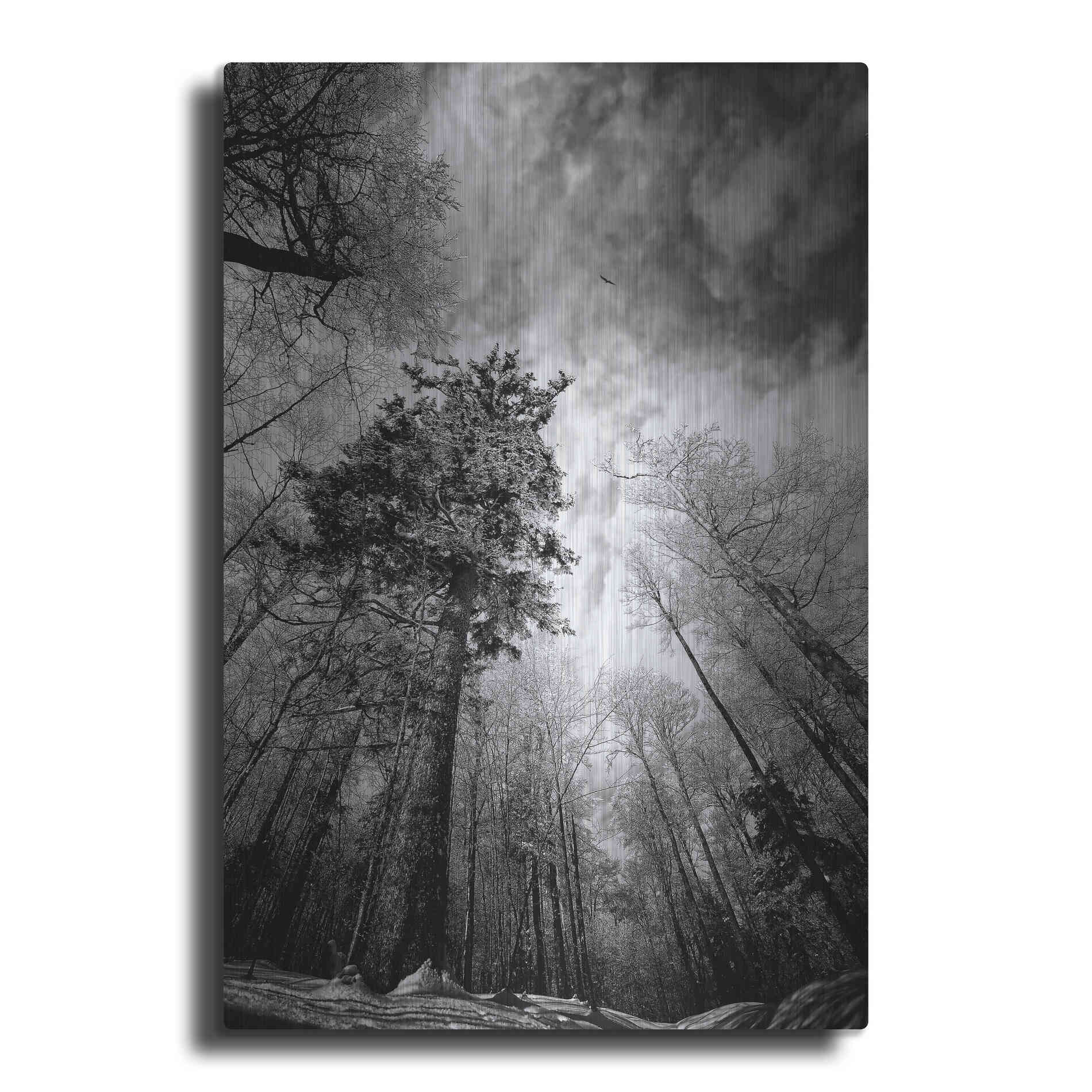 Luxe Metal Art 'Cold Vision' by Philippe Sainte-Laudy, Metal Wall Art