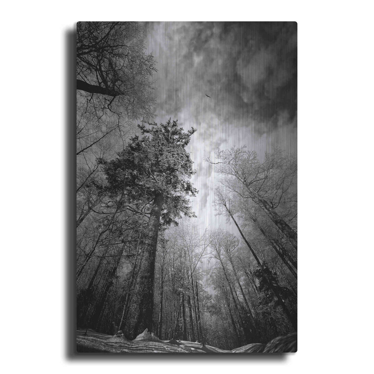 Luxe Metal Art 'Cold Vision' by Philippe Sainte-Laudy, Metal Wall Art