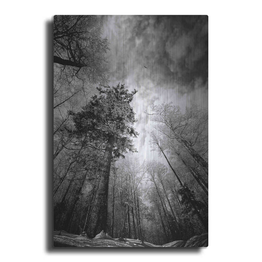 Luxe Metal Art 'Cold Vision' by Philippe Sainte-Laudy, Metal Wall Art