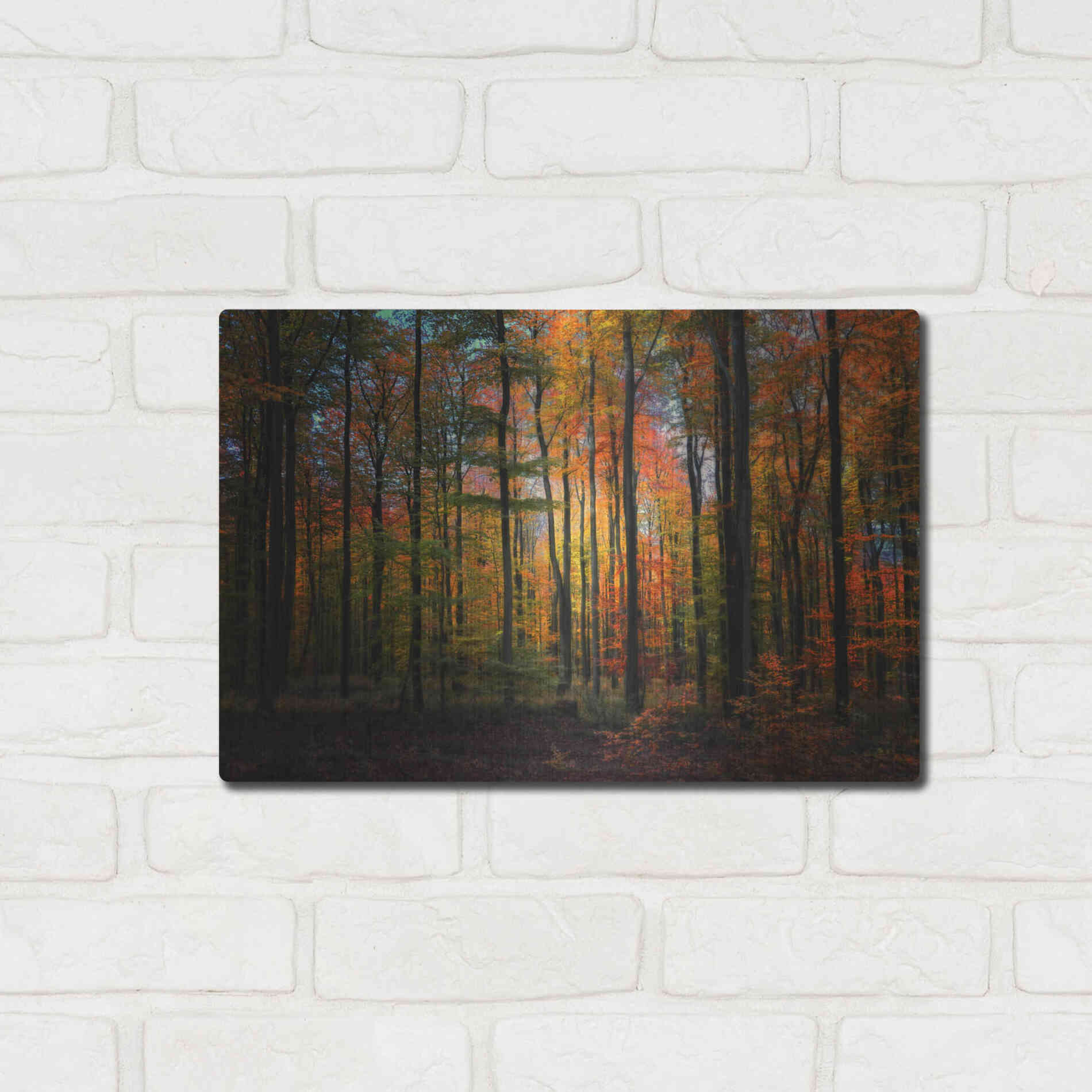 Luxe Metal Art 'Crayons de Couleur' by Philippe Sainte-Laudy, Metal Wall Art,16x12