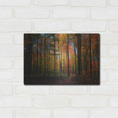 Luxe Metal Art 'Crayons de Couleur' by Philippe Sainte-Laudy, Metal Wall Art,16x12