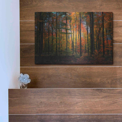 Luxe Metal Art 'Crayons de Couleur' by Philippe Sainte-Laudy, Metal Wall Art,16x12