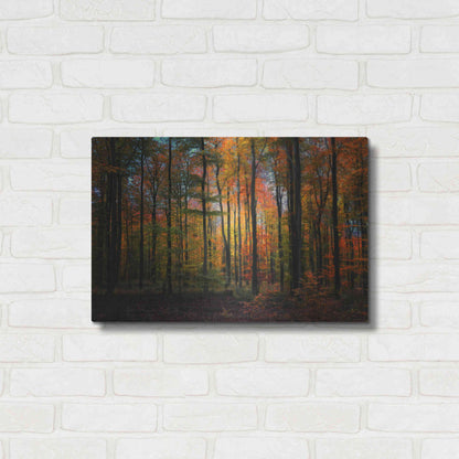 Luxe Metal Art 'Crayons de Couleur' by Philippe Sainte-Laudy, Metal Wall Art,24x16